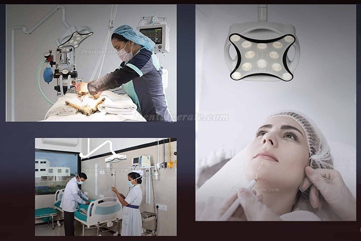 Micare JD1700L LED Minor Chirurgische Lampe Schattenlose Betriebslampe f&uuml;r Zahnkliniken